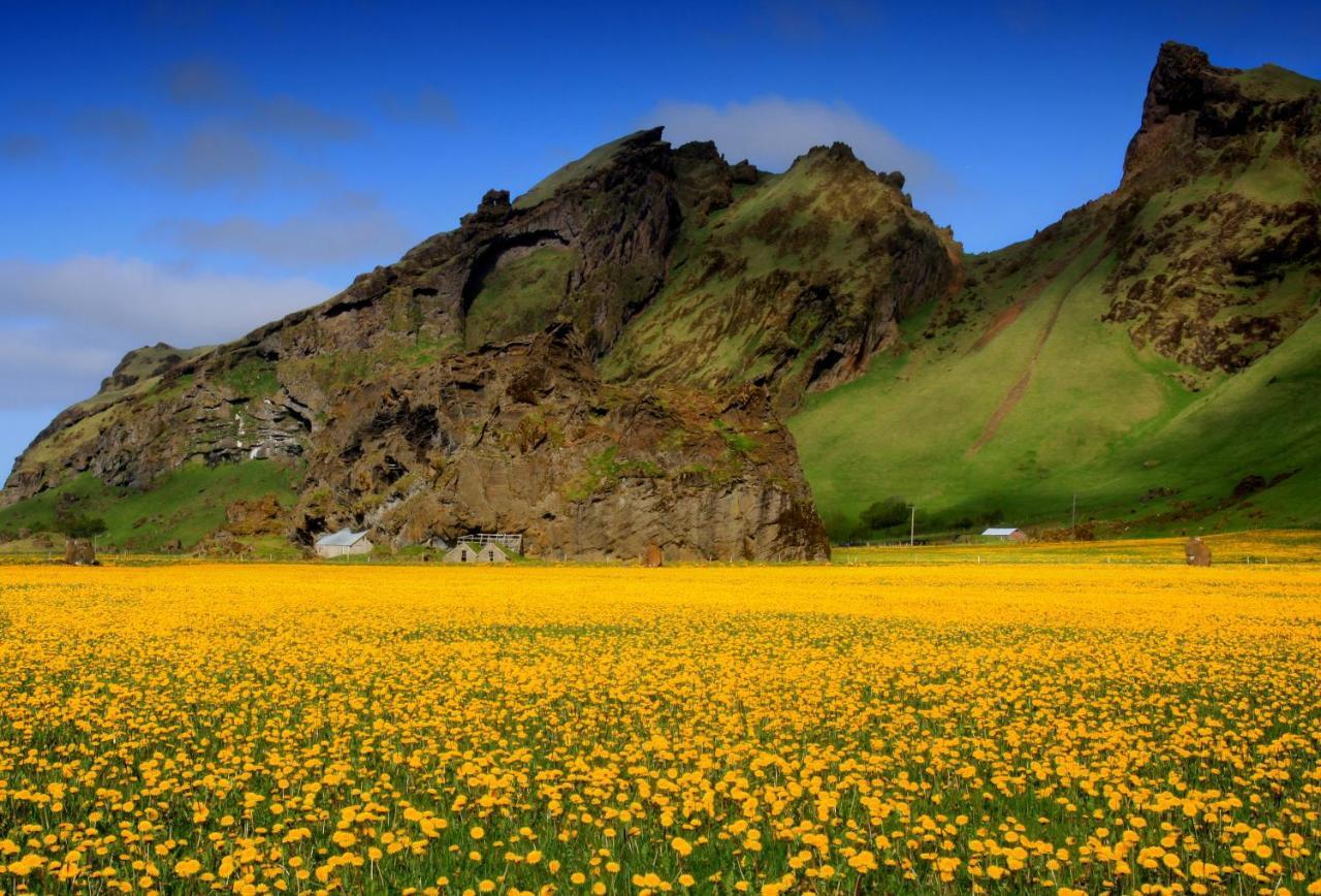 Cozy Cottage By Stay Iceland Hvolsvöllur Pokoj fotografie